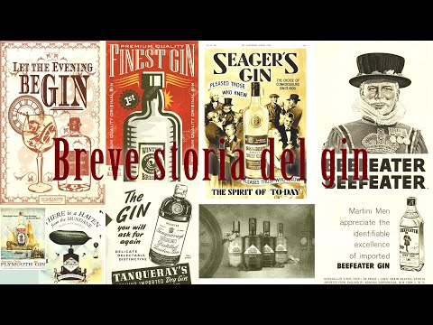 Video: Una Breve Storia Del Gin