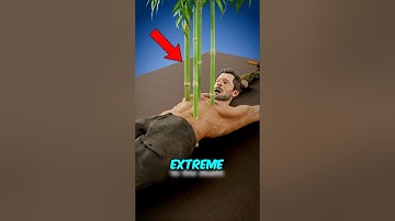 Ancient Punishments So Brutal You’ll Wish You Never Knew