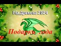 ПОДАРКИ от Зеленого Дракончика!  Для всех знаков зодиака. Онлайн-гадание. Татьяна Шаманова