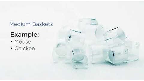 Automated In situ Hybridization (ISH) and Immunohistochemistry (IHC) | InsituPro