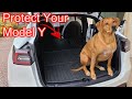 Dog-proofing Our Tesla Model Y - Part 1 Tesmanian Rear Seat Covers!