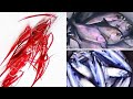 Sabiki Handline Fishing Lures - Fast & Simple Way of Making Sabiki Rig (Pomfret & Bonito Tuna)