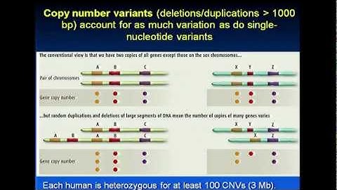 Introduction to Population Genetics - Lynn Jorde (2012)