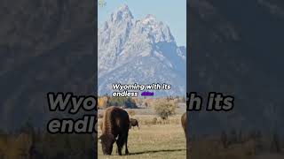 🚫🌨️ Wyoming Warnings: Bad Weather & Scarce Jobs - Reasons NOT to Move! 🛑💼