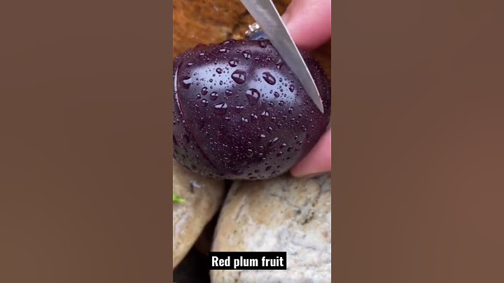 Red plum fruit #shorts