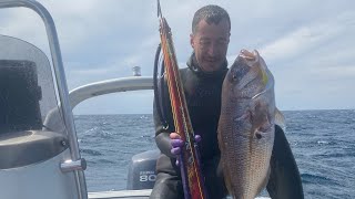Spearfishing Dentex 4kg,new gun day 🔱Neptunus invert roller 90🔱unboxing and first blood @MANOS75O