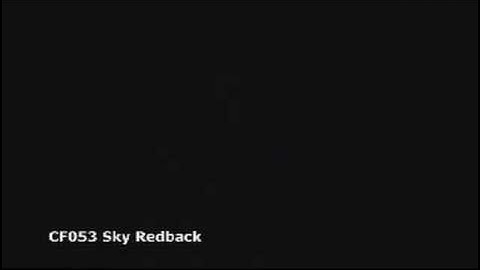 Stealth Fireworks - Sky Redback