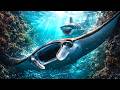 BLUE WATER | The Shadow That Commits