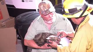 Firefighters Save Cat From House Fire / Glendora  7.2.19