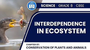 Interdependence in Ecosystem | Conservation of Plants and Animals | Class 8 Biology Chapter 07