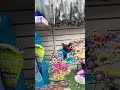 A lot of garden supplies and garden stakes for your garden at dollar tree#shortvideos