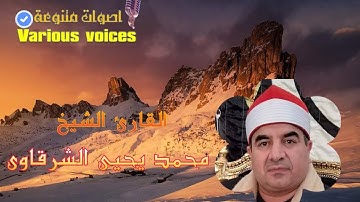تلاوة للقارئ الشيخ محمد يحيى الشرقاوى ما تيسر من سورة لقمان