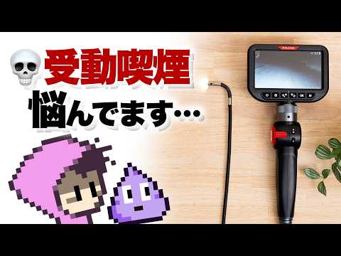 【閲覧注意】ファイバースコープカメラ使えるわ
