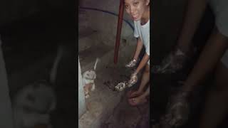 PROJECT IN INTRODUCTION TO PSYCHOLOGY ( FEEDING A STRAY DOG ) NICKY M. DAVA - SECTION 12005