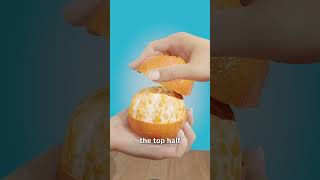 @zackdfilms   made this look easy… let’s see if I mess it up 😅🍊