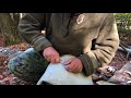 Maine primitive skills school survival bushcraft and rewilding introduction