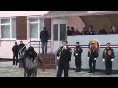 Cantă cucu in Bucovina si FUEGO