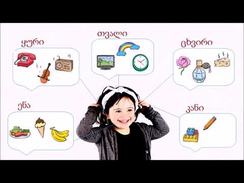 5 მგრძნობელობის ორგანო || ათა-თითა