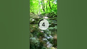 What has a bed but never sleeps, and a mouth but never speaks? #shorts