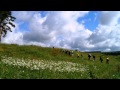 Бардовская песня.Ты мое дыхание