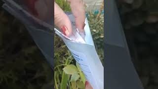 Flipkart Unboxing flowering seedsshorts gardeningflowerytshorts gardengardening