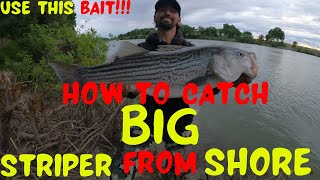 Sacramento River Striper Fishing (How To Catch Bigger Striper)