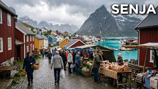 Living in Senja | How People Live on an Island at the Edge of the Arctic | 4K