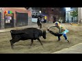 Vacas enfundadas Ivan Meseguer - Sueras (Castellón) 2023 Toros Fran Gomez Bous Al Carrer FJGNtv