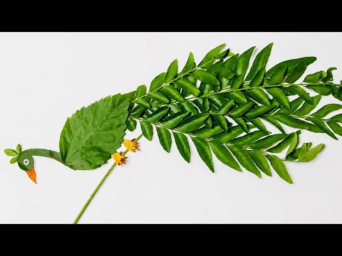 Beautiful Peacock making ideas With Leaves || How to Make Peacock From Leaves || Diy Peacock Ideas