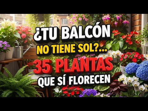 🌿35 PLANTAS que FLORECEN en SOMBRA (sin sol directo)💚| (GUÍA COMPLETA 2025 para INTERIOR y JARDÍN)