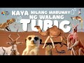 15 HAYOP NA NAKAPAG ADAPT MABUHAY SA DISYERTO | Desert Animals Surviving in Harsh Environment