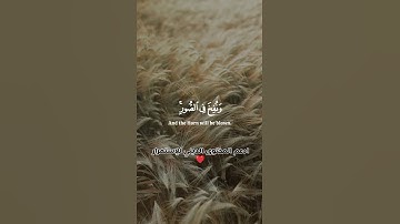 وجائت سكره الموت بالحق ذلك ما كنت منه تحيد #تلاوة_خاشعة