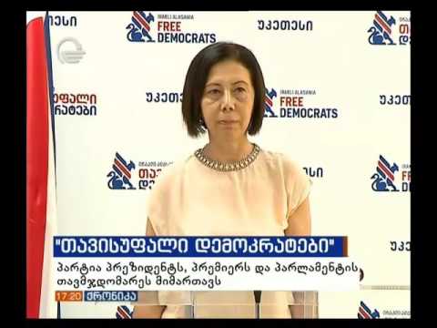 ''ირაკლი ალასანია - თავისუფალი დემოკრატების'' ბრიფინგი