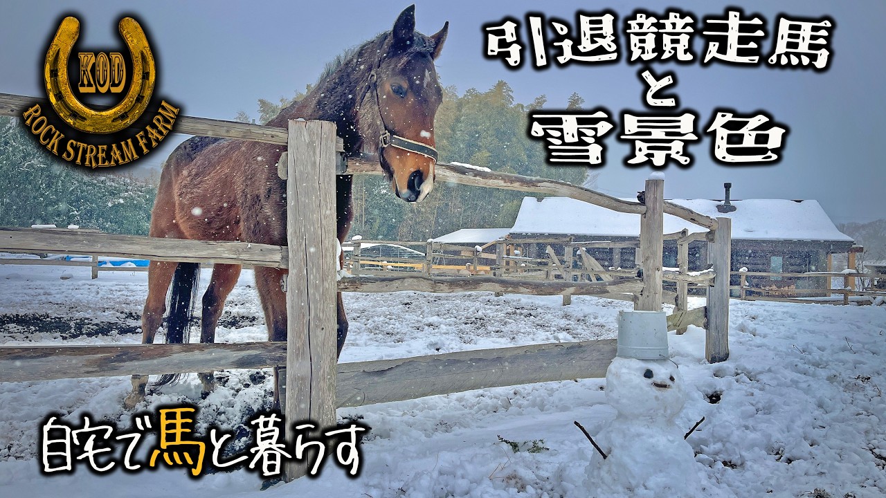 雪で馬も犬も人も大はしゃぎ・動物たちと暮らす冬／Sharing Life with Horses in the Snow Vol.158【RSF】