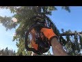 OLD SCHOOL TREE CLIMBING TECHNIQUES, TALL TREE PRUNING