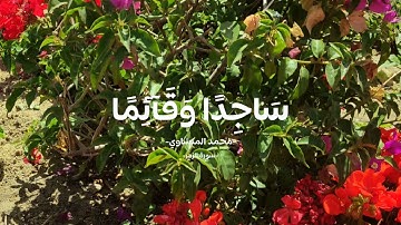 قران كريم بصوت الشيخ محمد صديق المنشاوي #cupcut #اكسبلور #المصحف #قران_كريم #محمد_صديق_المنشاوي
