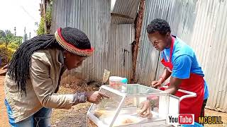 Gonga Mbili... Ft Heavy Thinker.