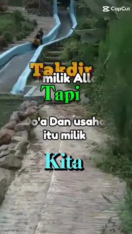 Sungguh - Iklim | Saleem #shortsvideo #,Musik Pop