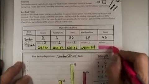 Rick Crosslin Science Bird Beak Adaptation
