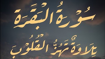 من أروع تلاوات (سورة البقرة) 🤎🦋|بصوت يلامس القلوب القارئ محمد صبري ✨🕋
