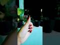 Hand dance #youtubeshorts #funny