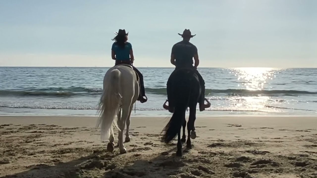 FOUR LEGS ON SET - Hielo Mor and Boléro modeling for Genuine Billy Cook and Four Legs On Set