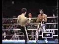 Aisudan au Casino de Montréal - KickBoxing - YouTube