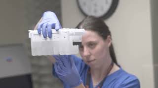 Children's Foundation Research Institute at Le Bonheur Children's Hospital