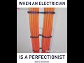 Electricians perfect world