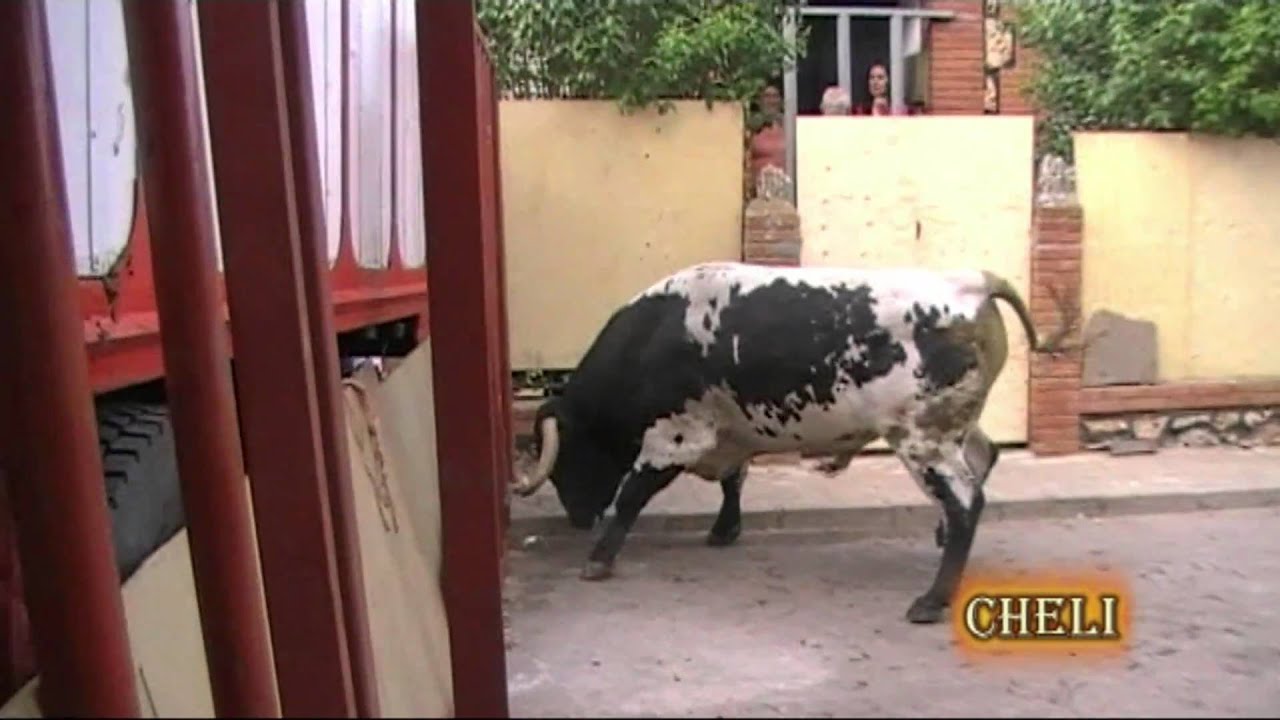 eltoroenlascalles 2010