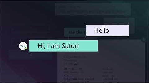 Sapience Satori - Advanced API Chatbot for SAP Ariba