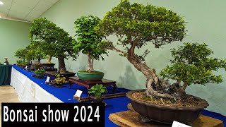 Bonsai society 2024 Exhibition, Beautiful trees.