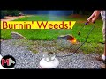 Burning Weeds with a Propane Torch