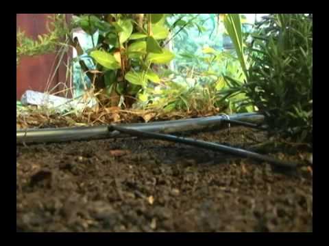 drip irrigation kit garden beds soaker dripline youtube drip works irrigation system